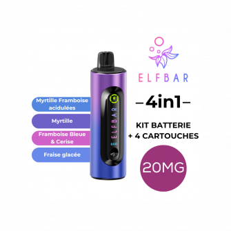 Kit 4en1 ELFBAR Baies...