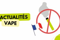Interdiction des puffs en France